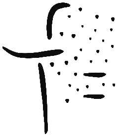 Image of the occurrence